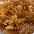 St. Lucia Gold Dried Sea Moss