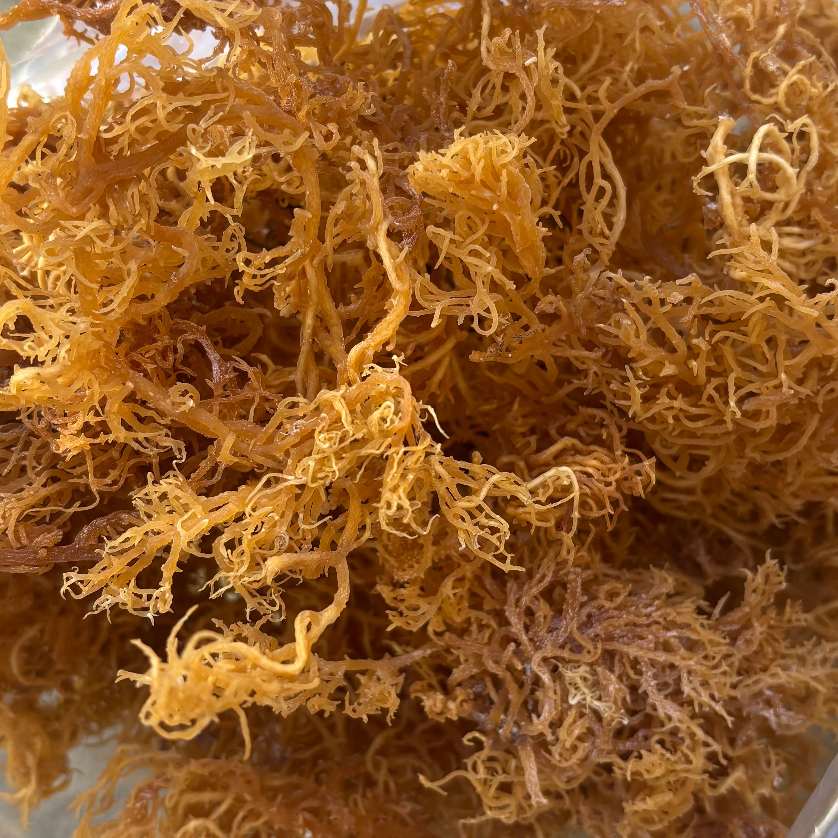 St. Lucia Gold Dried Sea Moss